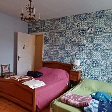 Chez Virginie - Chambre Du Bourg Lourdes Eksteriør billede